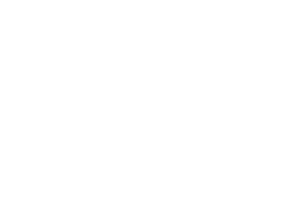 Service Solutions SKYFive Arabia